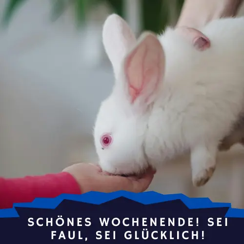 Schönes Wochenende! Sei faul, sei glücklich!